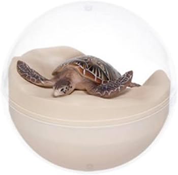 Amazon.co.jp: 美ら海水族館 カプリウムコレクション フィギュア