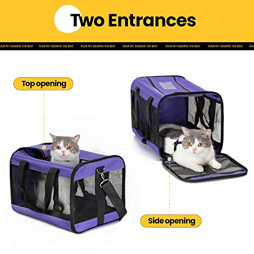 Cat-Carrier-Airline-Approved-Soft-Sided-Dog-Carrier-with-Inner-Safety-Leash-Pet-Transport-Carrier-for-Small-Medium-Cats-Puppies-up-to-15-Lbs-Collapsible-Travel-Kitten-Carrier-Bag-Purple-M
