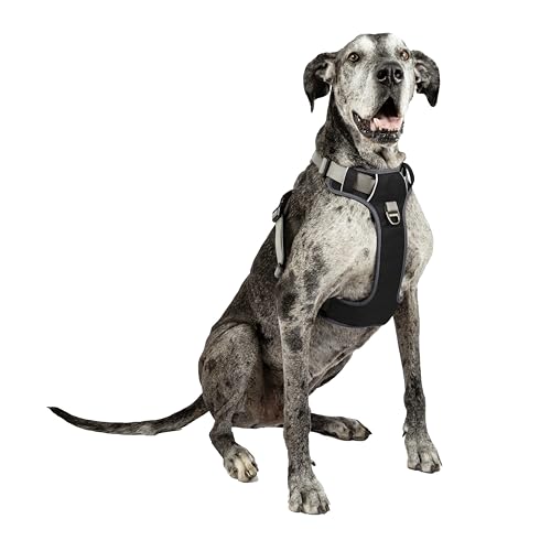 Extra large Dog Harness The 15 best products compared Wild Explained