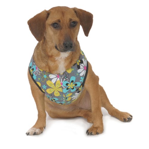 Cloak And Dawggie Step N Go Harness Mod Floral Jade Desertcart INDIA