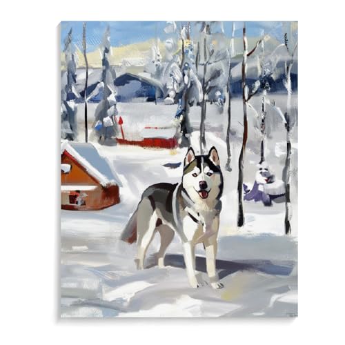 DIY Paint by Numbers Siberian Husky Dog on Canvas Painting Kits for Adult, Beginner Oil Painting Kits Gift 20x24inch(50x60cm) Frameless