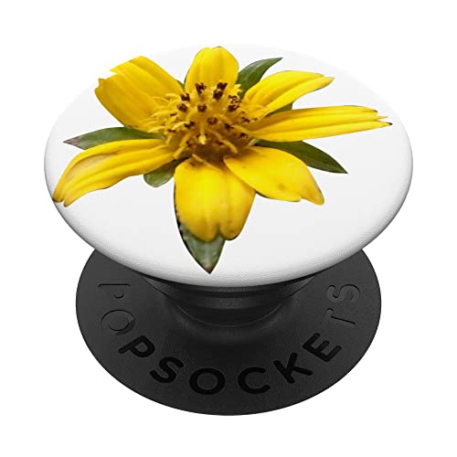 Tropical Flower Color Floral Pattern Sunflower PopSockets Swappable PopGrip