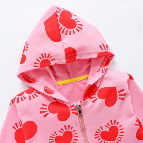 Image of HILEELANG Toddler Girl Fall Outfits Clothing Pants Set Sweatshirt Cotton Strench Leggings Playwear Sets 2pc