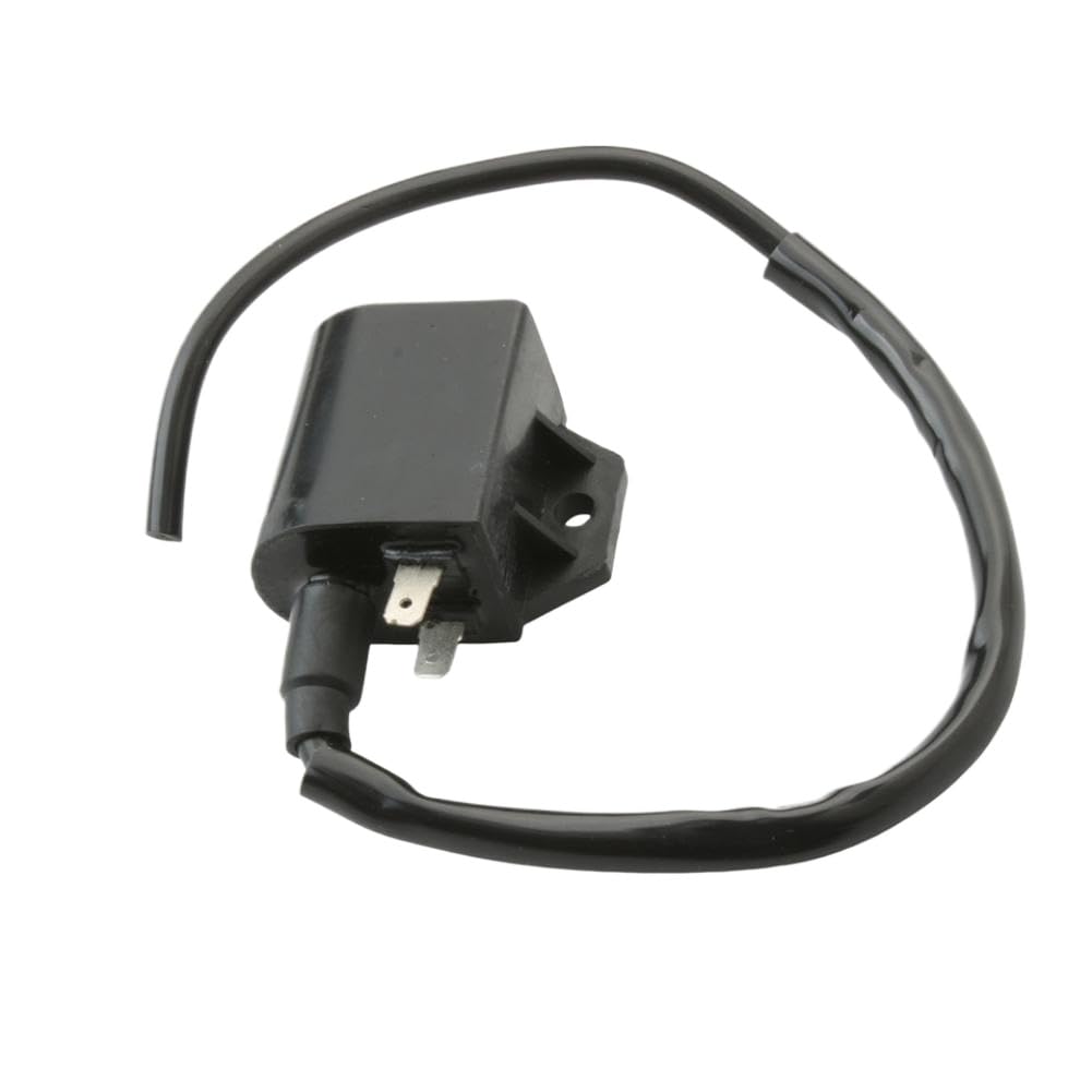 Bobina di Accensione Compatibile Con Vamos 50cc AC