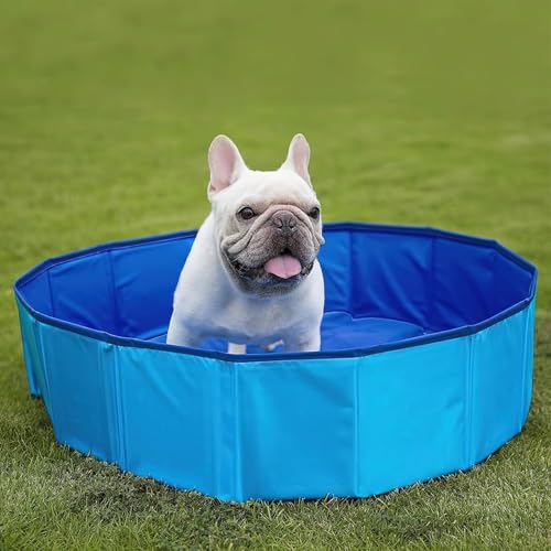 Hundeplanschbecken, 80x20 cm Hundepool Haustier Schwimmbecken, Faltbarer Haustier Schwimmbecken für Kleine Hunde rutschfest Tragbar Hunde Pool für Kleine Katze (Blau)