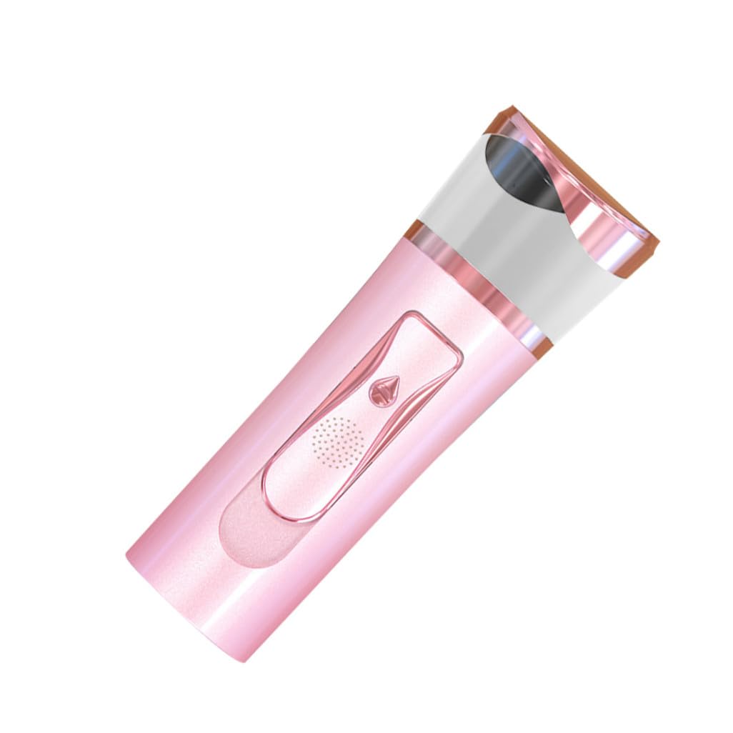 VICASKY 1 Ensemble Vaporisateur Facial Nano Portable Hydratant Brume Hydratante Rechargeable pour Corps