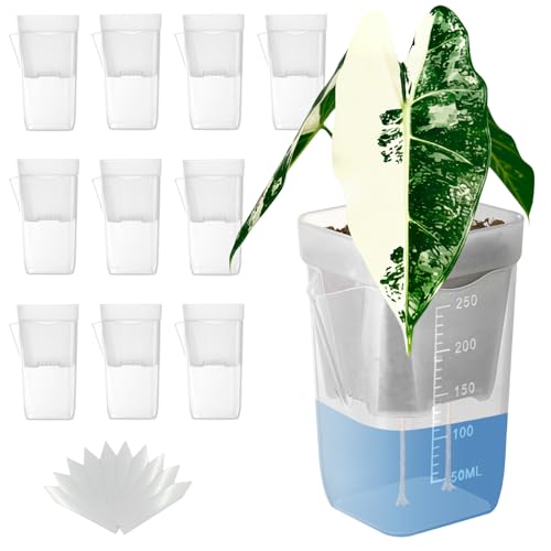 TineDew 10 Pack 2.5 inch Small self Watering pots for Indoor Plants semi hydroponic pots for leca and pon Clear Plastic Plant Pot for Propagation Seedling Cutting and African Violet (Clear 2.5 inch)