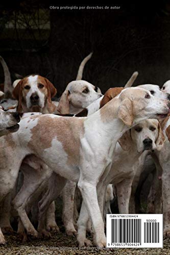 Miniatura 2 de DIARIO DE CAZA Registra todos los detalles lugar, fecha, piezas abatidas conejo, liebre, faisán, codorniz, paloma, perdiz roja.. Regalo especial