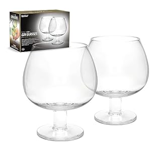 Fishbowl Large Copa Gin and Tonic Glasses G&T Cup Short Stemmed Balloon Crystal Cocktail Glass Dishwasher Safe 600ml – Pack of 2 (Pair)