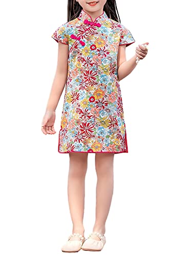 Girl's Cap Sleeve Ditsy Floral Chinese Dress