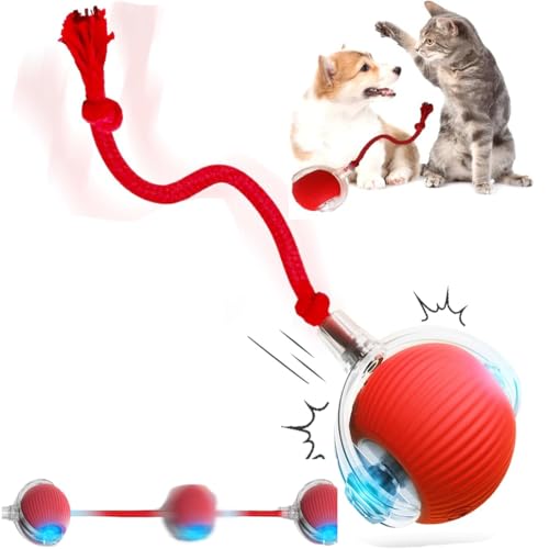 Pet Smart Chase Ball,Balle Interactive Pour Chien,Interactive Dog Toys,360° Smart Automatic Rolling Ball Toy Dog Toys for Dog/Cat(Red)