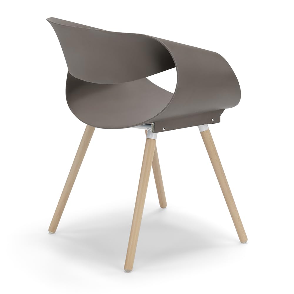 REDÒKASA Set 4 sedie in polipropilene DILETTA con gambe in faggio, resistente ai raggi UV, design moderno, ideale per sala da pranzo, cucina, sala d’attesa, bar, ristoranti (Tortora, 4)