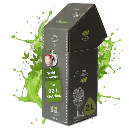 JuiceBox Waldmeister Sirup - 2 Liter ergibt 22 Liter erfrischendes Fertiggetränk umweltfreundlich pflanzlich leckere Wahl