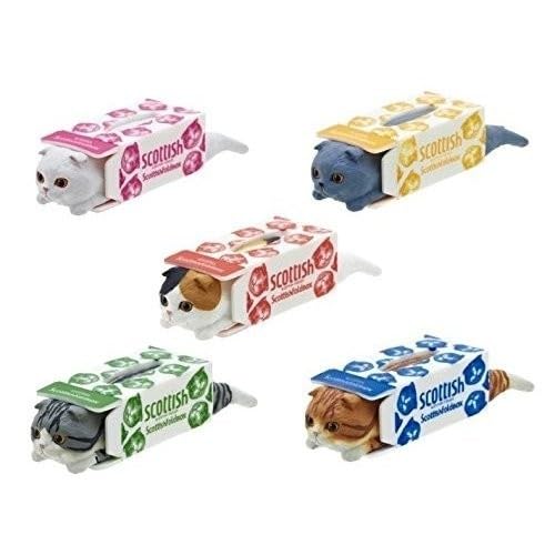 Amazon.co.jp: スコティッシュティッシュ scottish tissues 全5種