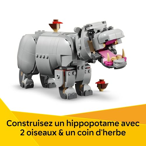 Animaux sauvages: le rhinocéros majestueux et les oiseaux - vue 6