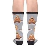 Adult Orange Bearded Dragon Casual Funny Funky Novelty Fashion Socks For Men Women