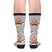 Adult Orange Bearded Dragon Casual Funny Funky Novelty Fashion Socks For Men Women
