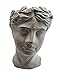 Produktbild Spetebo Pflanztopf Büste aus Zement in grau - 20 x 15 cm - Blumentopf Kopf Antik Design Pflanzkopf Kopf zum beflanzen