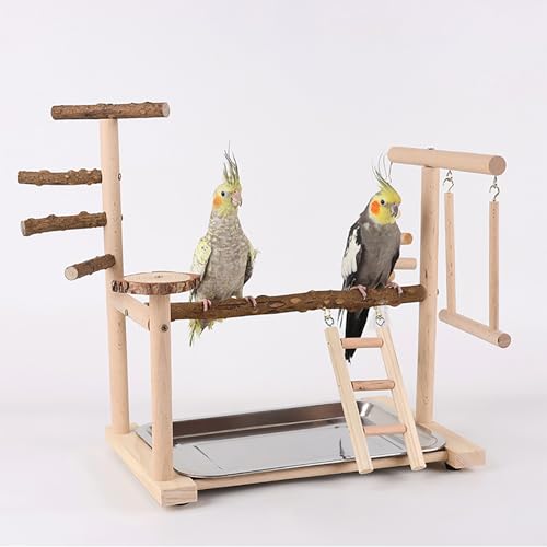 Image of RoseFlower Parrot Playstand, Bird Stand for Indoor, Wooden Bird Playground with Swing, Ladder, Perches and Removable Tray, L*W*H 14x9x15 Inch