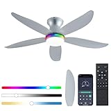 JSAITEE Ceiling Fan with Light, 48