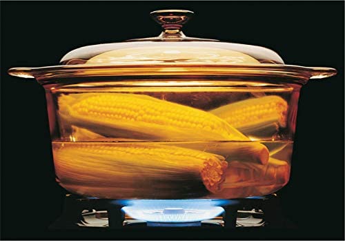 Visions 5L Round Dutch Oven With Glass Lid/Cover #TOP2