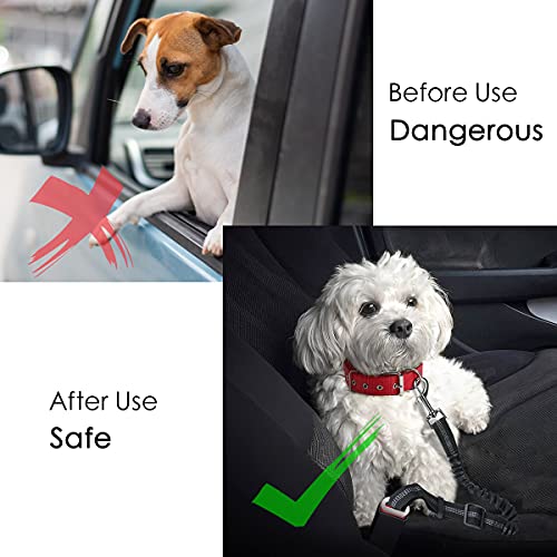 URAQT Hunde Sicherheitsgurt,2 Stück Anschnallgurt Auto mit Universalstecker Hundesicherheitsgurt mit Elastischer Ruckdämpfung und Starke Karabiner 2 in 1 Verstellbares 64-79cm Hundegurt fürs Auto