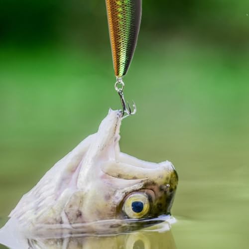 Boîte de matériel d'appâts pour bar d'eau douce et kit de leurres de pêche complet - 3
