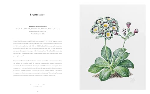 Illustrazione Botanica. Ediz. Illustrata - 4