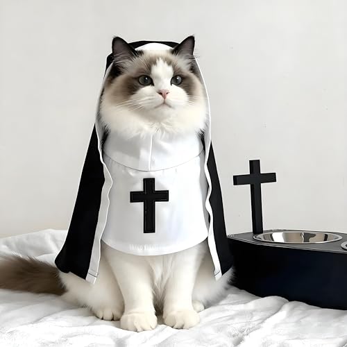 nEBLRX`[ChX - L&^^p̖ʔybgRXvApAnEB[p[eB[ANX}XAzf[p̒߉\ȏC̏K}g - 킢ybgRX`[ANZT[