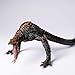 Godzilla vs. Kong Skullcrawler Action Figure, 4.33-Inch Collectible Movie Monster Figure, Hand-Painted Movable Skeleton Crawler Model for Fans and Collectors – King of Monsters Series