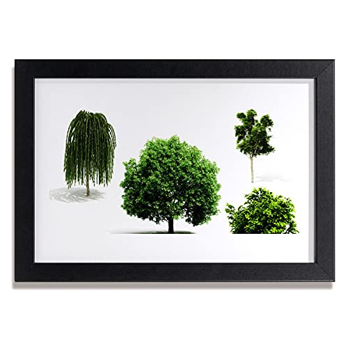 Cadre photo murale salon et cuisine paysage de forêt format 30x20