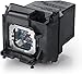 Litance Projector Lamp Bulb for Sony LMP-H220 VPL-VW325ES VPL-VW295ES VPL-VW285ES VPL-VW365ES VPL-VW385ES VPL-VW290ES VPL-VW315ES VPL - VW270ES VW260ES VW255ES VW320ES Projector Replacement Lamp