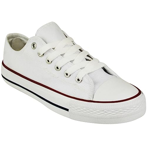 Womens Canvas Shoes Ladies Shoes Casual Lace Up Retro Girls Plimsolls Low Top Flat Gym Sports Trainers Lightweight Sneakers Fashion Plimsoles Platform Pumps Boots UK Shu (White, UK 7)