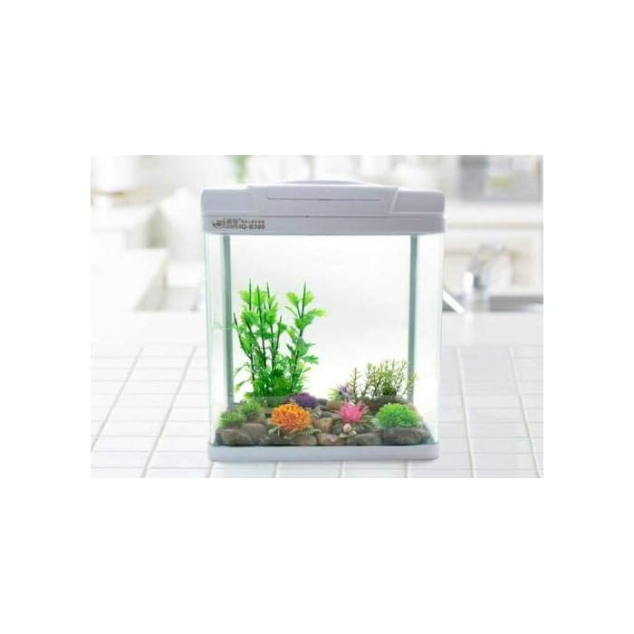 Buy Biopro 65L Complete Aquarium Fish Tank with Filtration and