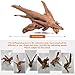 Hygger zoo Driftwood for Aquarium Drift Wood for Fishtank: Aquarium Driftwood Freshwater Reptile Wood Reptile Log Snake Climbing Accessories Terrarium Decor for Leopard Gecko Small Snake Fish Tank