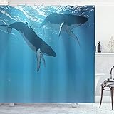 Ambesonne Ocean Shower Curtain, 2 Humpback Whales Swimming Near The Ocean Surface in The Rays from The Sun Image, Cloth Fabric Bathroom Decor Set with Hooks, 69' W x 70' L, Pale Blue
