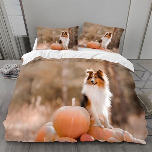 BSYYZQC Copripiumino Singolo Zucca Set Copripiumino Singolo Pastore Delle Shetland Biancheria da Letto in Microfibra con Cerniera, 3 Pezzi Copripiumini 135x200 con 2 Federa 50x80 cm