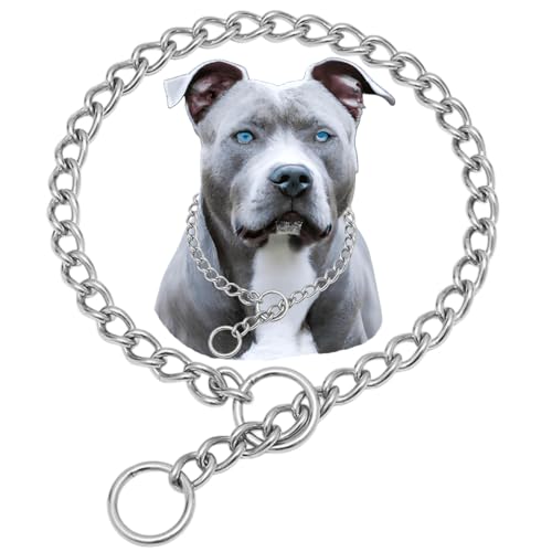 Dog Choker Chain for Large Dogs, 304 Stainless Steel Heavy Duty Slip Collars Chew Proof, Martingale Puppy Collars for XXS XS Small Medium Big Dogs, Silver, L