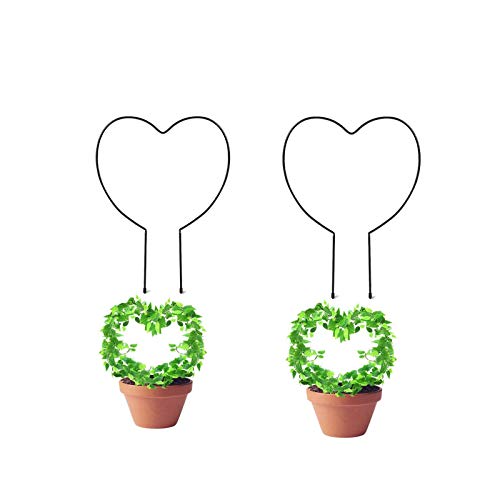 YIREAUD 2 Stück schwarzes Eisen-Garten-Rankgitter für Kletterpflanzen, rostfrei, Rankenpflanzen-Metall-Stützdraht mit schwarzer Beschichtung Cover