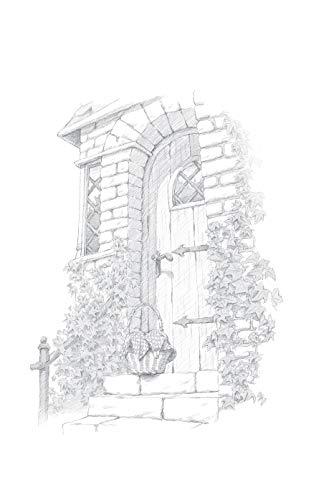 Il Segreto Delle Gemelle. Fairy Oak. Nuova Ediz. (Vol. 1) - 12