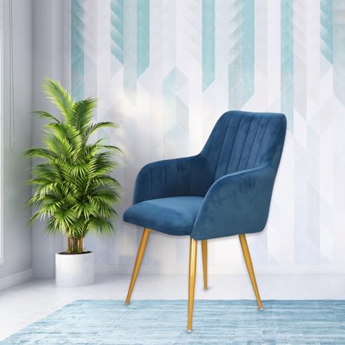 Image of Taboo Velvet Dining Chair Set of 2 | Upholstered Accent Arm Chairs | Soft Cushioned Seat with Backrest | Modern Velvet Fabric Chairs with Metal Legs | Living Room, Bedroom, Cafe & Restaurant| NavyBlue