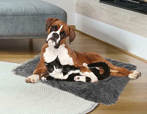 ADEPTNA Manta de microfibra suave y esponjosa para mascotas, perros, gatos, cachorros, color gris Cover