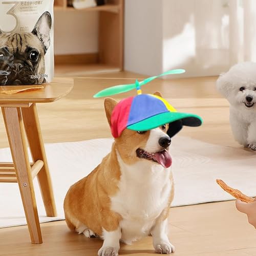 Propeller Mütze Hundepropellermütze Hunde Baseballmütze Bunte Propellermütze Lustige Propellerkappe Hundemütze Mit Elastischen Ohrlöchern Regenbogen Helikopter Zylinder Für Sport
