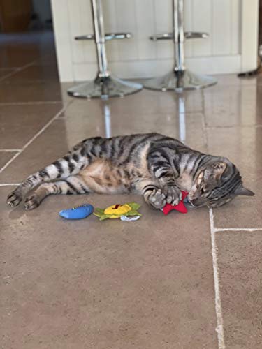 Duckyworld Yeoww Sun Moon and Stars (3 pcs) Katzenspielzeug mit Katzenminze, 400 g – Bild 5