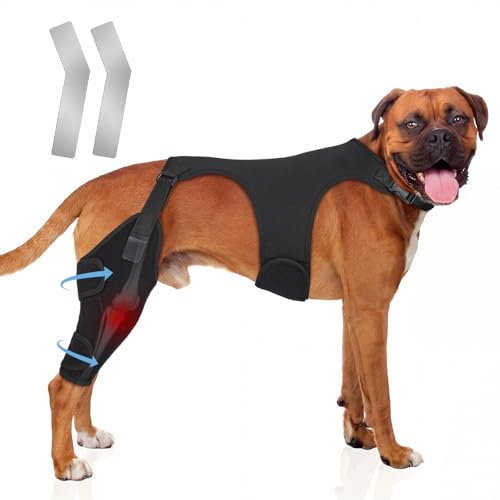 Dog Knee Brace for Torn ACL Hind Leg Adjustable Dog Leg Braces with Metal Stabilizers Strong Joint Support to Reduce Pain from Arthritis Ligament Injury Hip Dysplasia Luxating Patella (L-3)