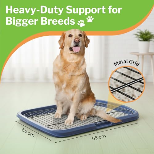 Image of MAK7 Online Dog Poop Training Tray with Metal Mesh Grid, Indoor Pet Waste Management System, Size 65cm X 50cm, Removable Grid for Easy Cleaning ASORTED Colors (Blue /Green /Grey)