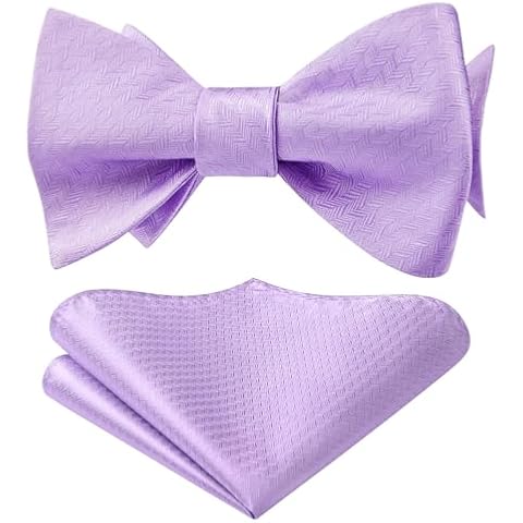 Noeud Papillon HISDERN Violet Clair Cover