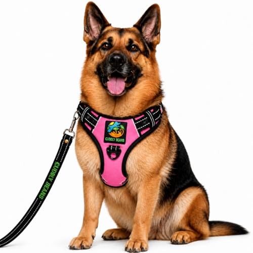 Image of Adjustable Padded Dog Harness with Leash, Pink, XL (36-60 kg)