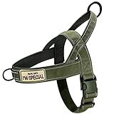 QIFBYFB Green No Pull Dog Harness for Small Medium Large Sized Dog, Reflective Escape Proof Adjustable Dog Harnesses with 2 Patch, S
