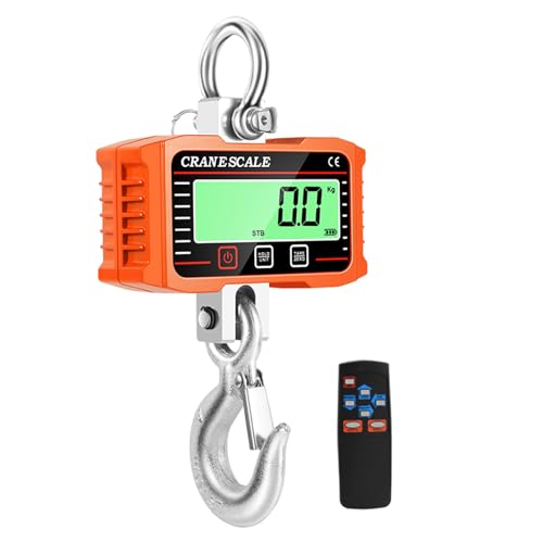 Compteur de pesage 1000kg Domary pour grue portable, haute précision de qualité industrielle